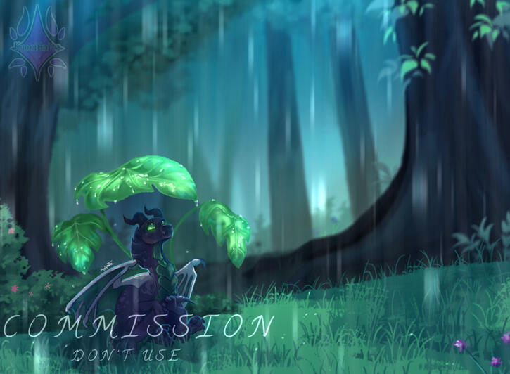 Rudra Commission